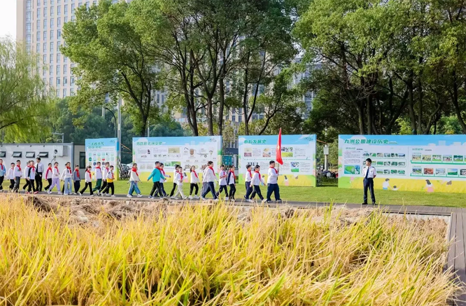 九洲公園舉辦“南昌城里有點(diǎn)田”秋收體驗(yàn)活動(dòng) 青少年體驗(yàn)農(nóng)耕文化